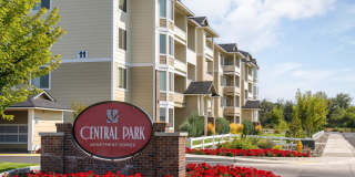 Central Park Gallery 15