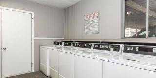 Delta Court Gallery 12