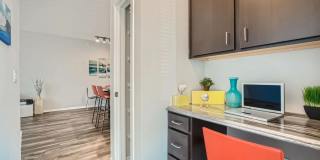 Terra Vida Gallery 1