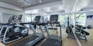 Vivere Los Gatos Gallery 8