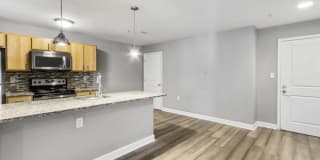 The Munsey Gallery 2