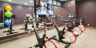 Arbuckle II Gallery 16