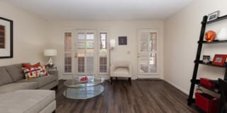 Olive Tree Gallery 1