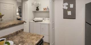 San Prado by Mark-Taylor Gallery 9