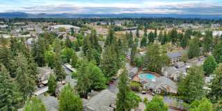 Autumn Chase Gallery 18