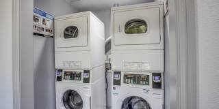 Serena Vista Gallery 4