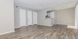 Diamond Loch Gallery 33