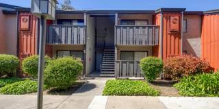 The Falls at Arden Gallery 46