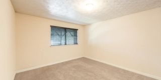 Oasis Club Gallery 3