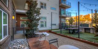 5151 5151 Gallery 24