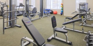 The Fred Apartment Homes Gallery 10