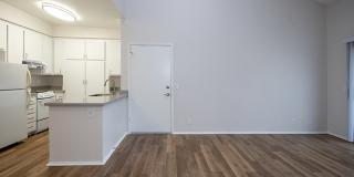 Birchmont Apartment Homes - Senior Housing Gallery 7