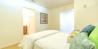 Ovation 309 Gallery 10