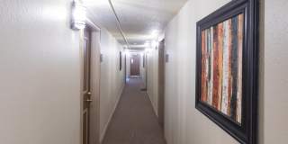 Cimarron Gallery 2