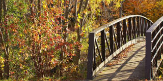 Summer Creek Apartments Gallery 21