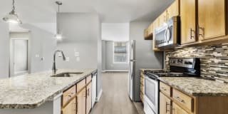 The Munsey Gallery 1