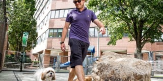 Silver Towers Gallery 18