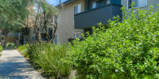 Twenty2Eleven Apartments Gallery 22