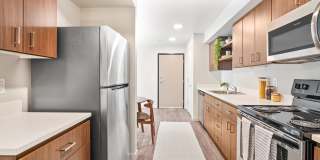 Market Village Gallery 1