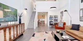 The Oasis Gallery 2