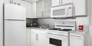 3510 North Pine Grove Gallery 23