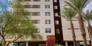 Agave 350 Gallery 41