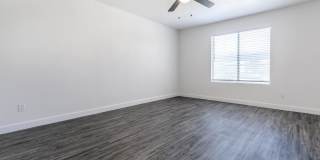 Palisade Park Gallery 23