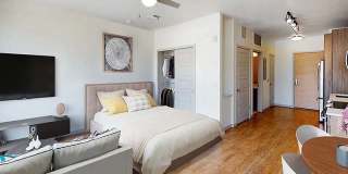 Viceroy Observatory Park Gallery 4