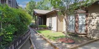 Woodland Trails Gallery 28
