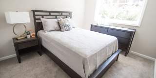 Forest Pointe Apartments Gallery 6