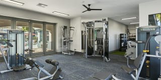 Portola South Mountain Gallery 11