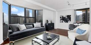 1133 North Dearborn Gallery 7