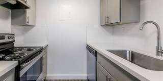 Palisade Park Gallery 20