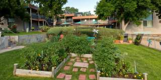 Arvada Place Gallery 11