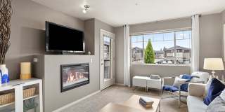 Baseline Woods Gallery 1