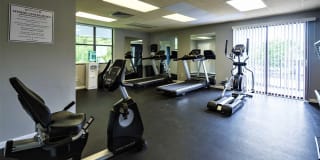 Cross Creek Gallery 29