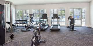 Village Green Gallery 26