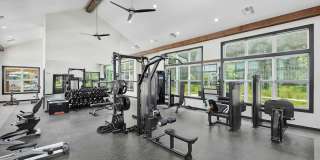 The Percy Gallery 22