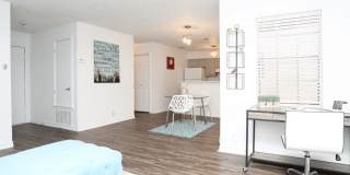 Algarita Lakeside Gallery 5