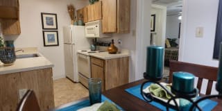 Crest Oasis Gallery 27