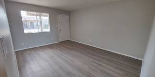 Albany Apartments Gallery 13