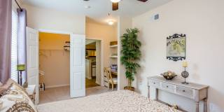 Stone Mist Gallery 8