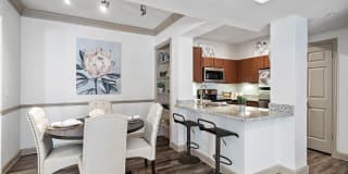 Rise at Elmside Gallery 2