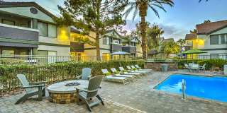 Desert Sage Gallery 53