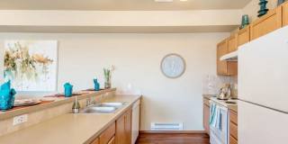 Central Park Gallery 1