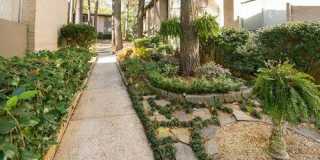 Dresden Forest Gallery 11