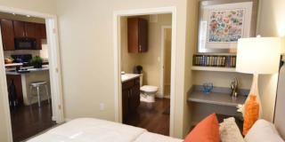 Oak Forest Gallery 2