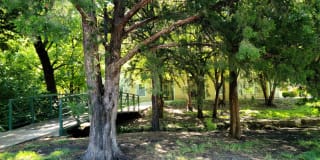 Pinnacle Woods Apartment Homes Gallery 13