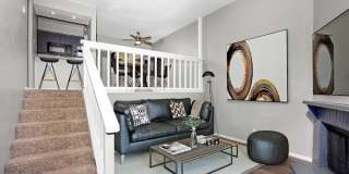 Serena Vista Gallery 3