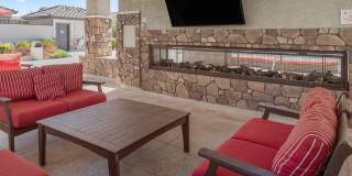 TerraLane on Cotton Gallery 10